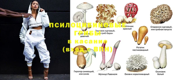 мет Арсеньев